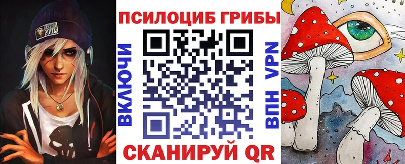 Галлюциногенные грибы Psilocybe  omg зеркало  Сольцы  купить наркотик 